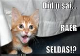 Did u sa RAER SELDAS!? IORNHRSCHEEZBURGER.COM