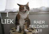 LIEK RAER SELDAS!!!