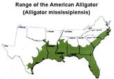 Range of the American Alligator (Alligator mississipiensis)