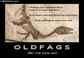 roflposters.com Oldfags once roamed these boards in large numbers... But nature selected them for extinction. And nothing of value was lost. OL D FA G S GET THE F--- OUT.