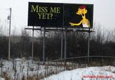 MISS ME YET? Minnesouta Public Radio