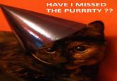 HAVE I MISSED THE PURRRTY ??