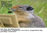 Have you tried switching it off then on again? Go for it (phrase): Computer support service supplied by pesky rodents