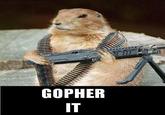 GOPHER IT