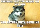 PAPERBALL HITS YOU DURING THE NAPTIME YOU RETURN WITH BOWLING BALL memegenerator.net