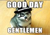 G00D DAY GENTLEMEN memegenerator.net