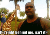 shaq1.gif BR It's right behind me, isn't it: