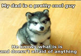 My dad is a pretty cool guy He knows what is is and doesn t afraid of anything