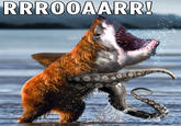 RRROOAARR