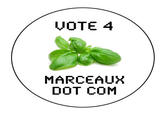 VOTE 4 MARCEAUX DOT COM