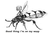 Good thing i'm on my wasp