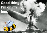 Good thing I'm on my bee