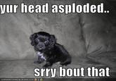 yur head asplofded.. sry bout that