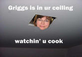 griggsceiling.jpg Griggs is in ur ceiling watchin' u cook