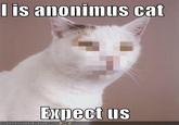 l is anonimus cat xpect iS