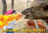 INTERNET ARGUME