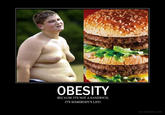 OBESITY BECAUSE IT'S NOT A SANDWICH, IT'S SOMEBODY'S LIFE! DIY,DESPAIR.COM