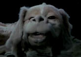 falcor.jpg
