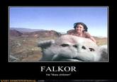 129162022151196011.jpg FALKOR He "likes children" VERY DEMOTIVATIONAT,.com