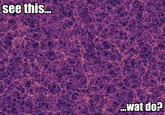 seethiswatdolargescalestructureoftheuniverse.png see this. wat do