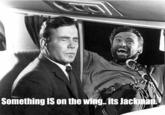 Something IS on the wing.its lackman