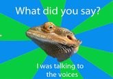 What did you say? A) Iwas talking to the voices