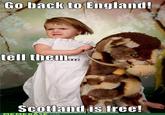 Go back to England! tell thein. Scotland is free! MEMEB COM