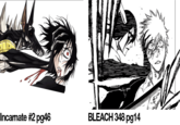 Incamate #2 pg46 BLEACH 348 pg14
