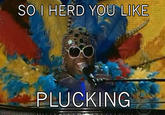 SO I HERD YOU LIKE PLUCKING