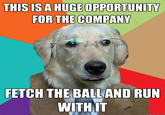 THIS ISA HUGE OPPORTUNITY FOR THE COMPANY FETCH THE BALLAND RUN WITHIT