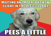 MEETING AN IMPORTANT NEW CLIENT IN THE OFFICE LOBBY PEES A LITTLE