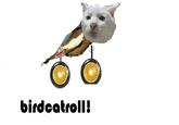 癜 birdeatroll!