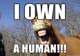 OWN A HUMAN!!