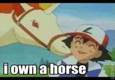 i own a horse