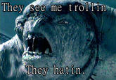 Ihey see me troll1n They hatin