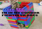 IM IN MY GONDOR FIGHTIN UR ORCS