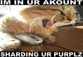 IM IN UR AKOUNT SHARDING UR PURPLZ