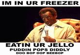 IM IN UR FREEZER EATIN UR JELLO PUDDIN POPS DIDDLY DOO BOP DOP BEEBOP