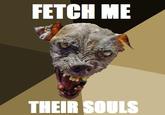 FETCH ME THEIR SOULS