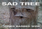 SAD TREE CRIES BARBED WIRE