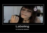 Labeling it's kinda like labelism