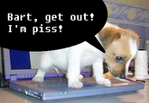 Bart, qet out! I'm piss?