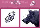 RUDE'S MEME DRAW YOUR CHARACTER'S SKULL NOW COPY/PASTE IT HERE AND DRAW THEIR HEAD OVER IT