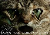 CAN HAS CULB URGER?