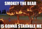 smokey.jpg SMOKEY THE BEAR IS GONNA StRANGLE ME