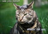 I see you babeh shakin dät ass
