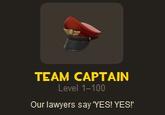 TEAM CAPTAIN Level 1-100 Our lawyers say YES! YES!