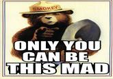 SMOKEY ONLY YOU CAN BE THISMAD