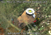 So, How iS this thread holdind up BECAUSE IM A POTATO
