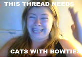 THIS THREAD NEEDS CATS WITH BOWTIE